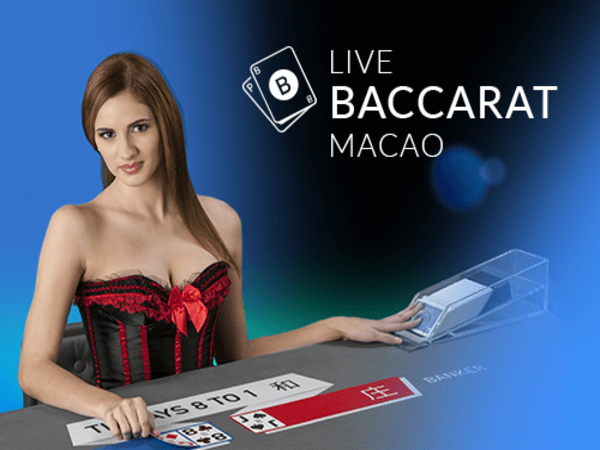 betwinner afiliados